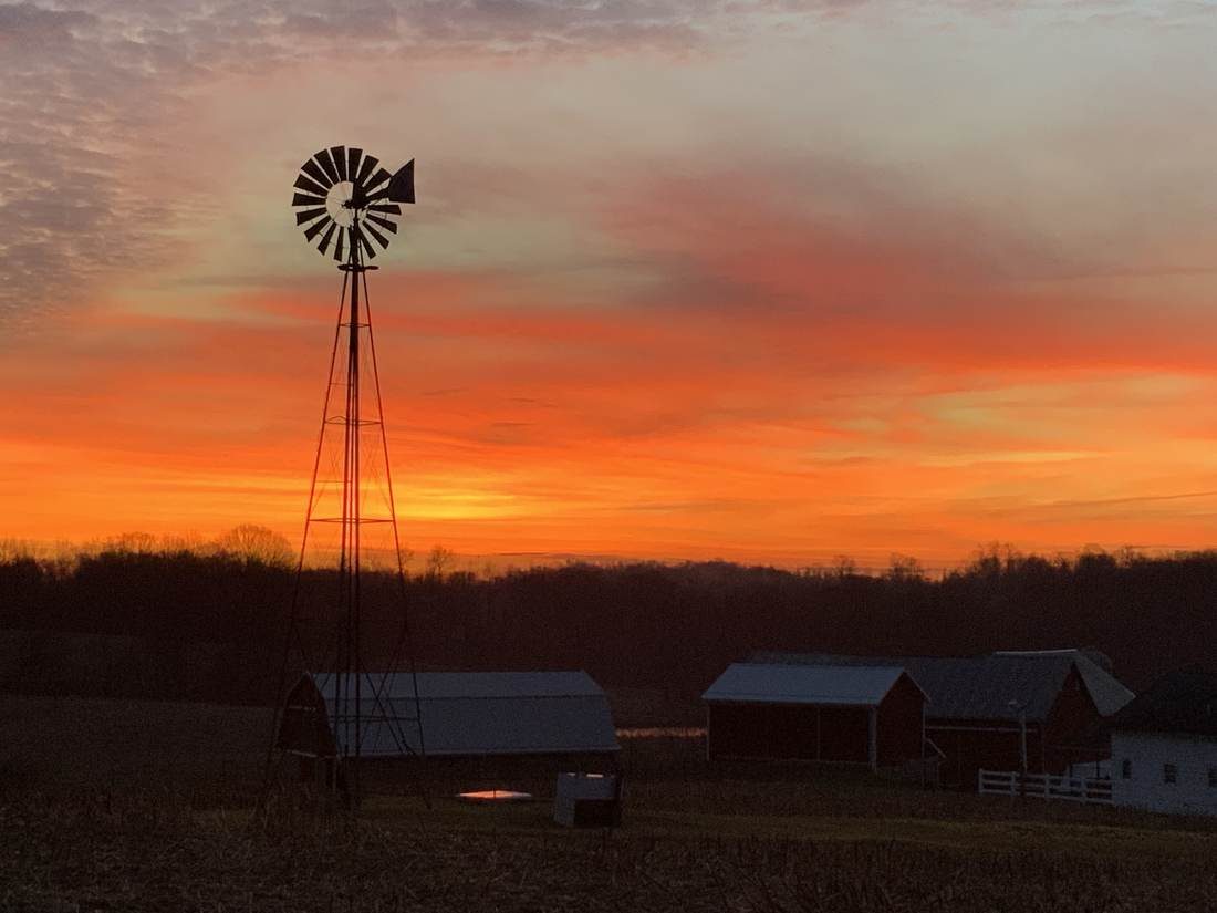 Sunset over our Ohio estate where every Luxurious Doodle puppy is born and raised