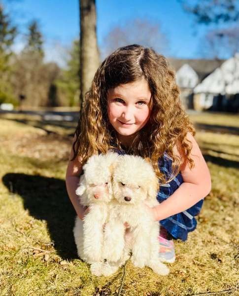 A young family welcoming their new Luxurious Doodle puppies home in Illinois