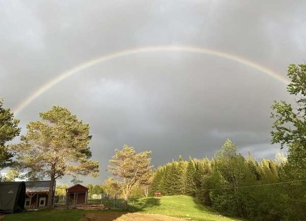 Rainbow over the rolling hills of our Ohio estate &mdash; the heart of The Luxurious Doodle