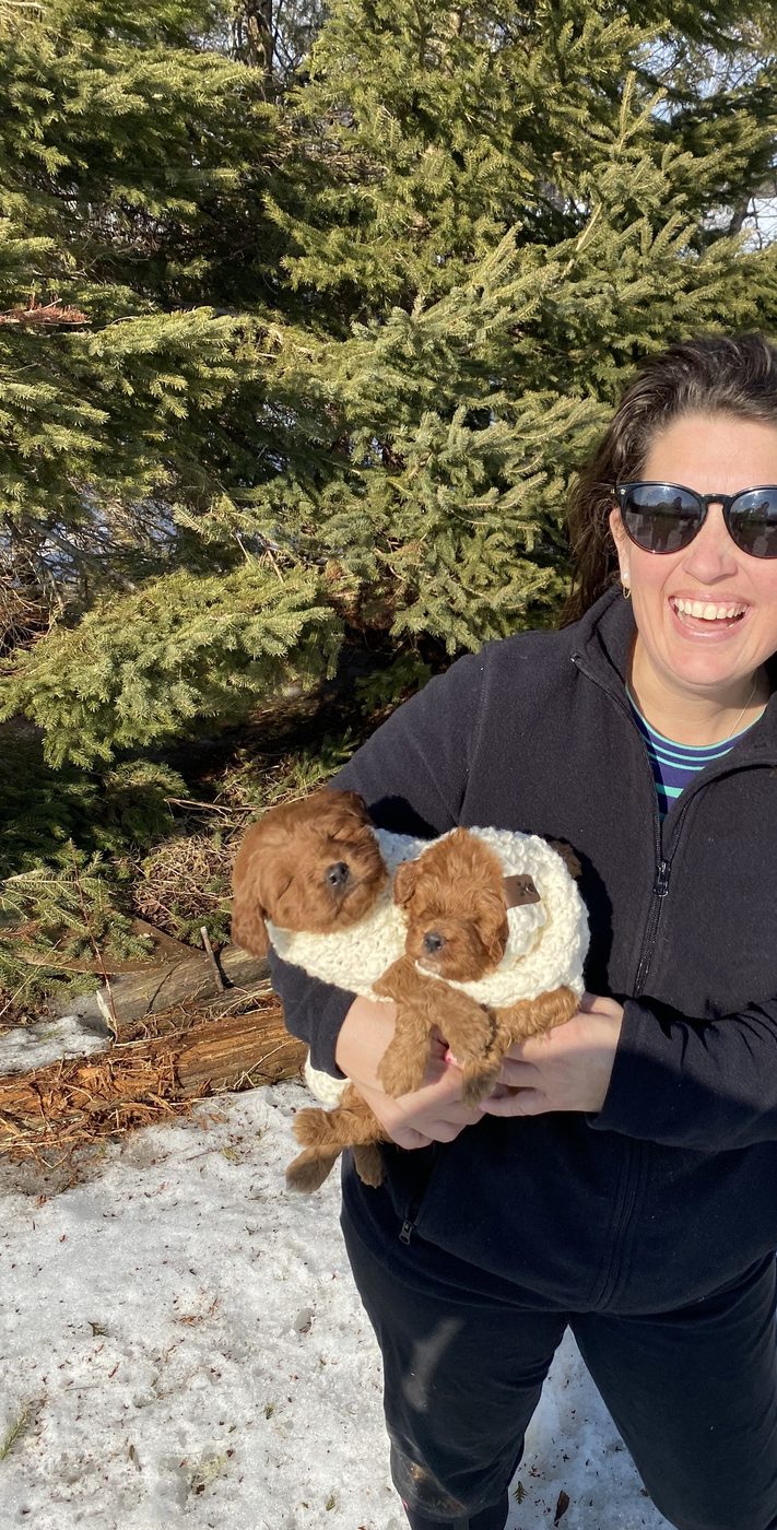 Priscilla in Maine with two apricot puppies, where the Luxurious Doodle bloodlines began